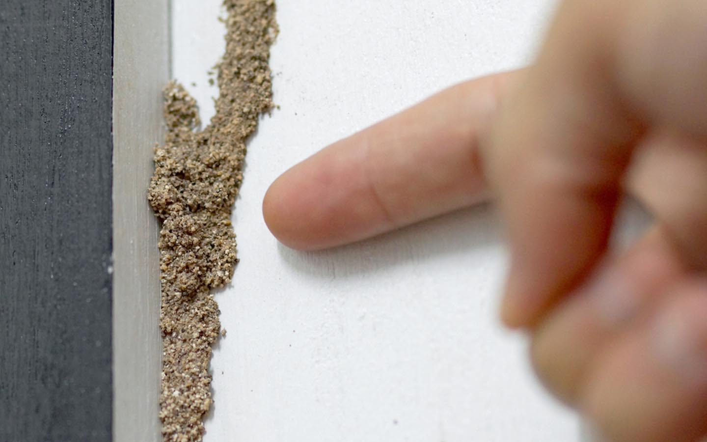 Top 7 Signs of Termite Infestation to Look for in Your House | Zameen Blog